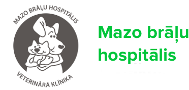 Mazo Brāļu hospitālis E-vekals logo