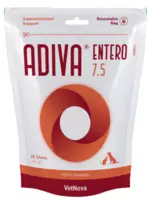 ADIVA ENTERO SMALL & MEDIUM N28