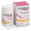 CYSTOCURE FORTE POWDER 30G