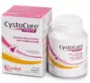 CYSTOCURE FORTE TABLETS N30