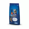 BREKKIES CAT COMPLET 15KG - PIEAUGUŠIEM KAĶIEM (GAĻA UN ZIVIS)