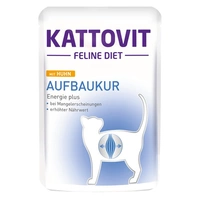 KATTOVIT Aufbaukur/Recovery ar vistu 85g